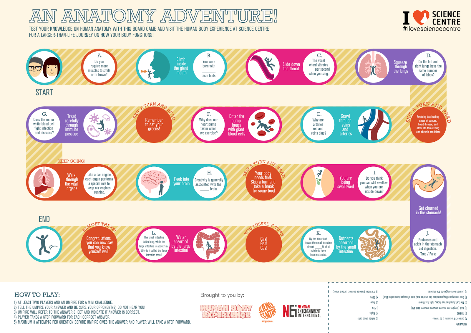 human body adventure worksheet answers