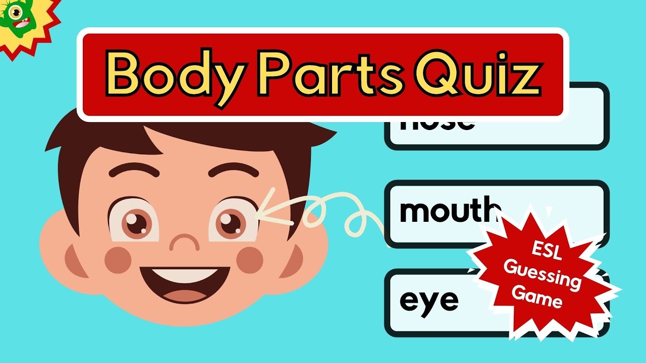 human body adventure worksheet answers