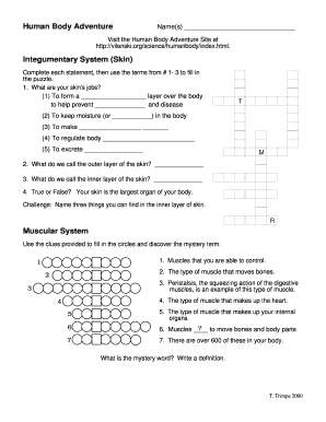 human body adventure worksheet answers