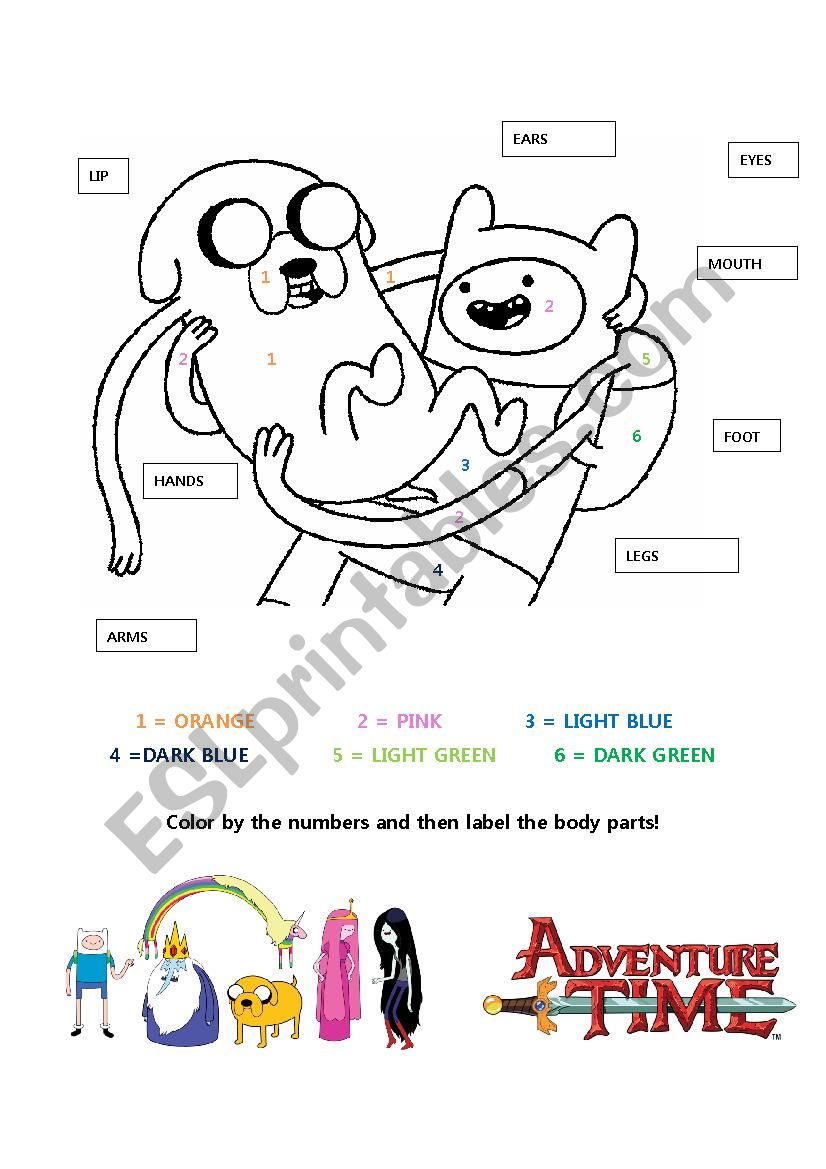 human body adventure worksheet answers
