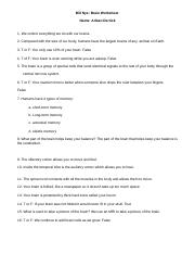 Human Body Pushing the Limits- Brain Power.docx - Name: Human Body ...