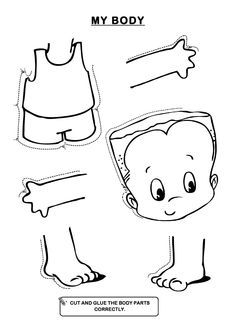 human body puzzle worksheet