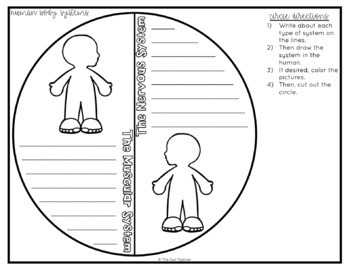 The Human Body Systems Worksheets Circle Book Activity