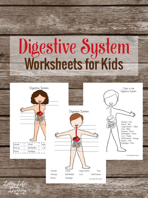 The Amazing List of FREE Human Body Resources! | Free Homeschool ...