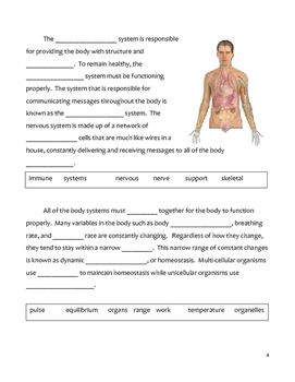 Middle School Biology Cloze Worksheet - Human Body Systems