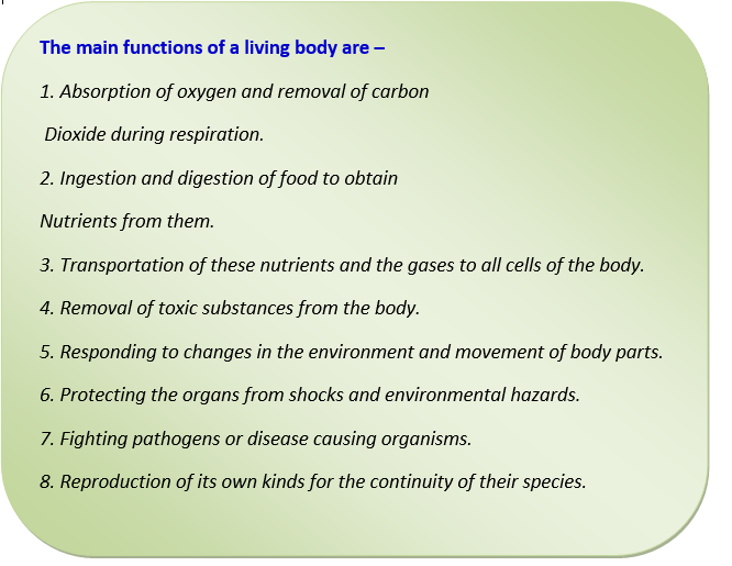 Body Systems - Middle School Tutoring - Grade 5 - Download Now