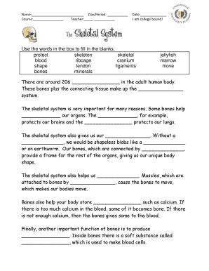 human body systems worksheet pdf