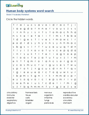 human body systems worksheet