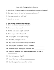 Human Body: Pushing the Limits-Sensation Worksheet for 5th - 10th ...