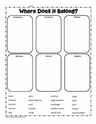 human body worksheet for 5th grade