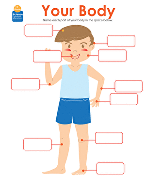 Parts of the Human Body | Worksheet 