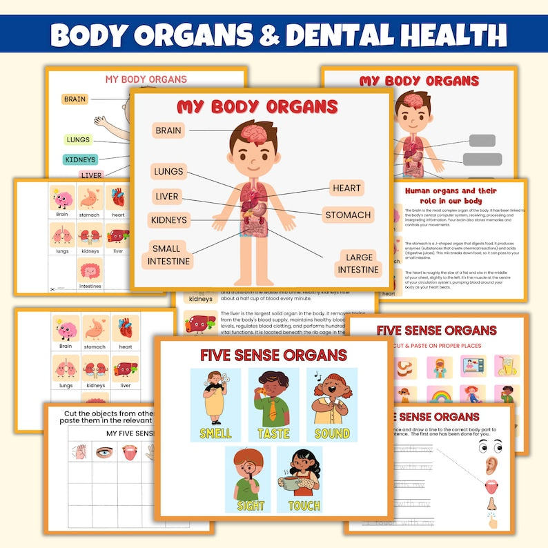 Human Anatomy Preschool Book | 200+ Worksheets (FREE TODAY ...