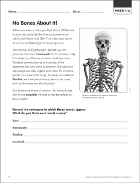 Human Body Worksheets for Students | Scholastic