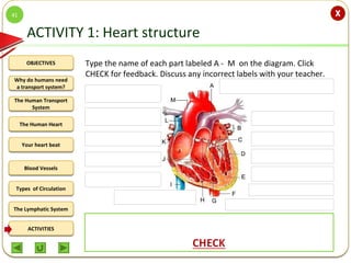 Integrated Science M2 The Human Circulatory System | PPT