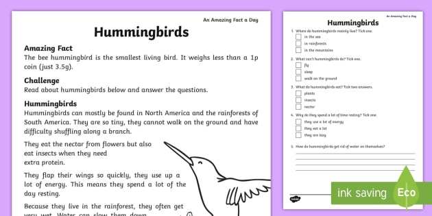 Hummingbird Comprehension Worksheet / Worksheet - Twinkl