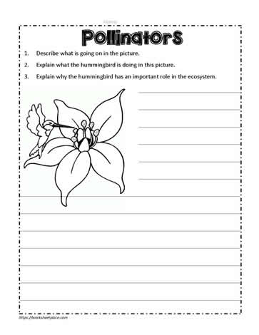 Hummingbird Maze Worksheet for Kindergarten | Lesson Planet