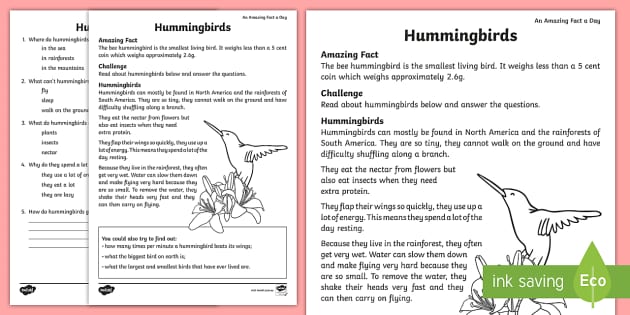 Hummingbird Comprehension Worksheet / Worksheet - Twinkl