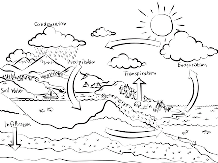 hydrologic cycle worksheet