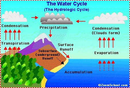 The Water Cycle - Enchanted Learning