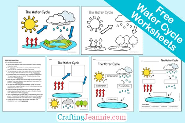 Water Cycle Worksheets (Free PDF) - Crafting Jeannie