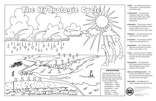 The Hydrologic Cycle activity sheet - St. Johns River Water ...