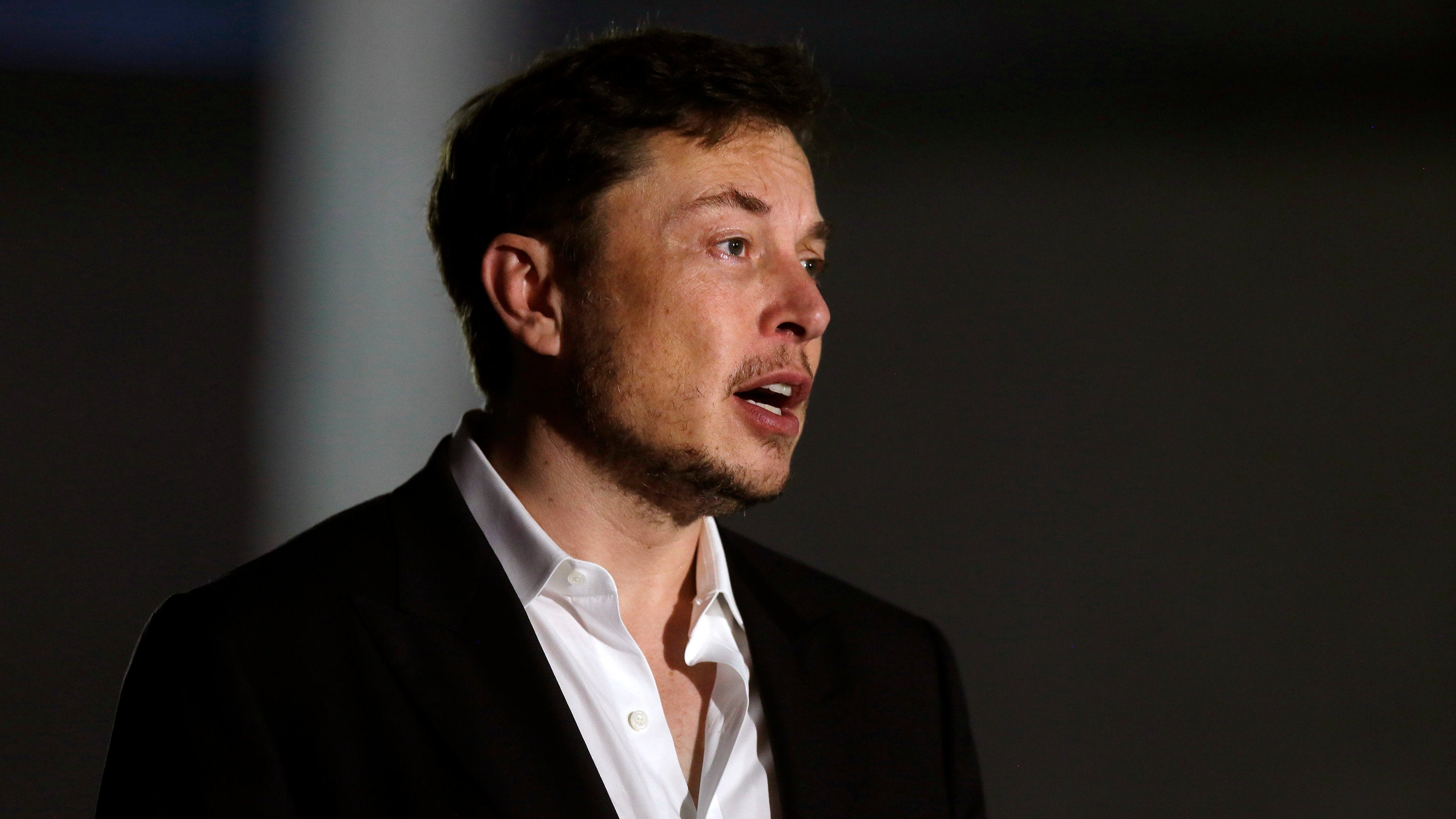 hyperbole elon musk