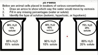 hypertonic hypotonic isotonic worksheet