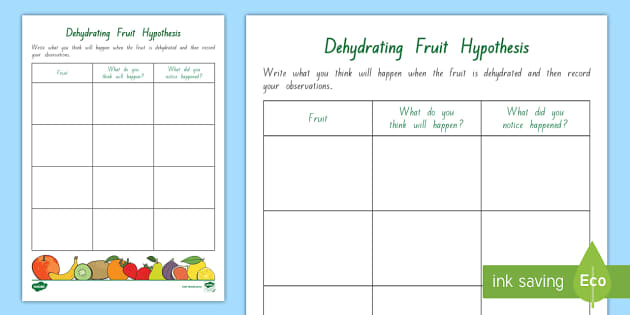 Dehydrating Fruit Hypothesis Worksheet / Worksheet - Twinkl