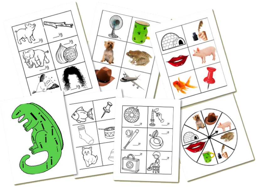 i wanna iguana worksheet