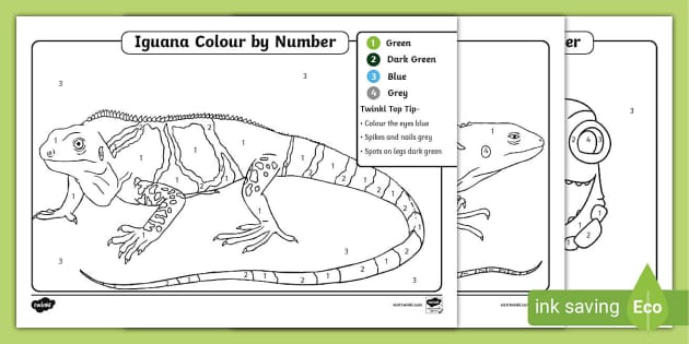 FREE! - Iguana Colour by Number Pages|Twinkl Colour by Number Pages