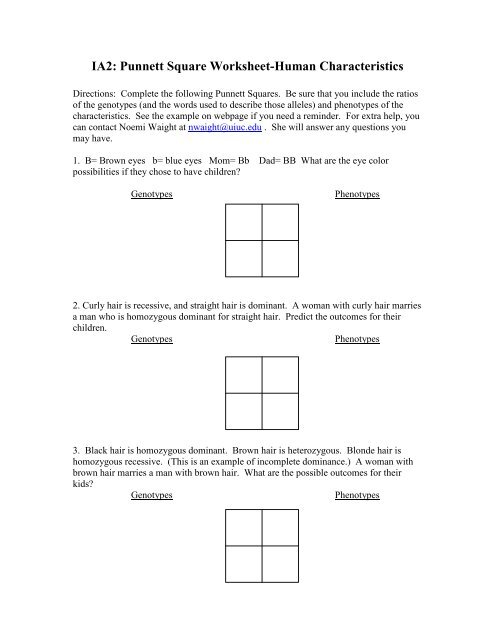 ia2 punnett square worksheet human characteristics answers