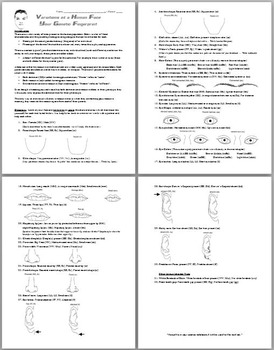 ia2 punnett square worksheet human characteristics answers