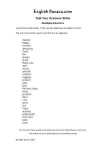 Identifying Adjectives Worksheet for 5th - 6th Grade | Lesson Planet