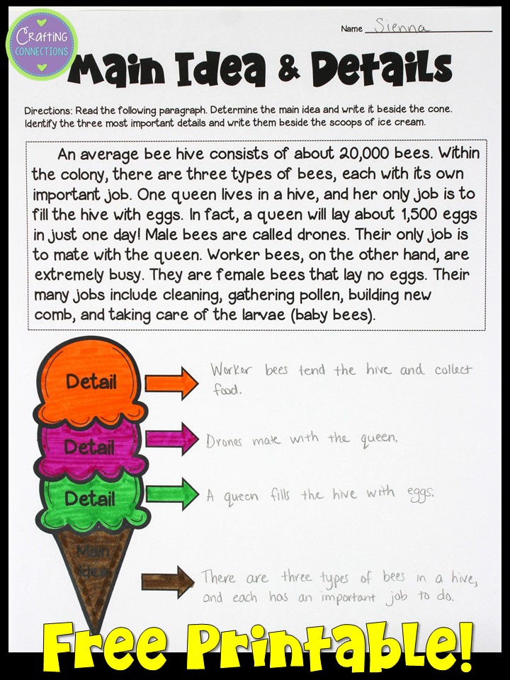 identifying main idea and supporting details worksheet