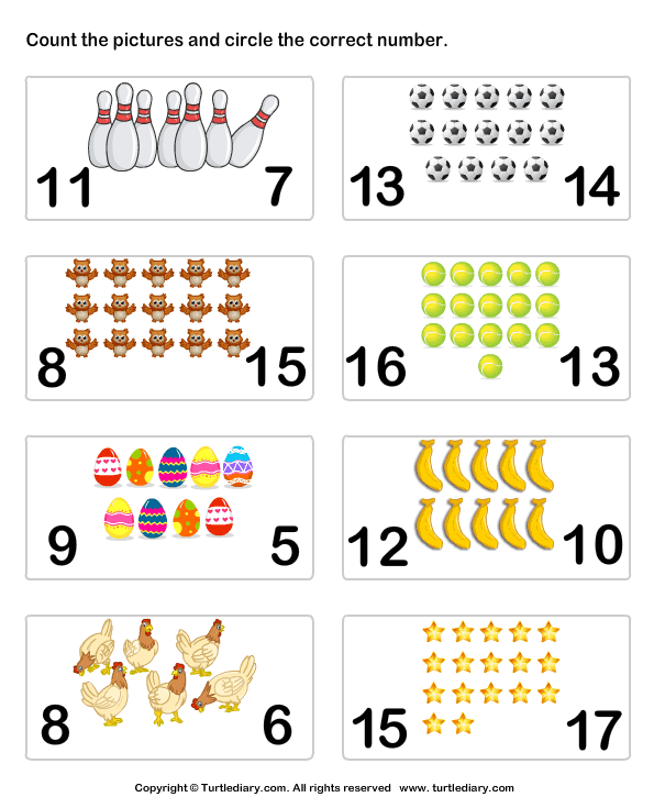 Identifying Numbers and Objects | Turtle Diary Worksheet