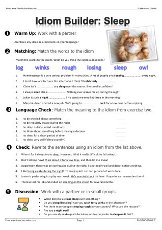 idiom worksheet can you guess