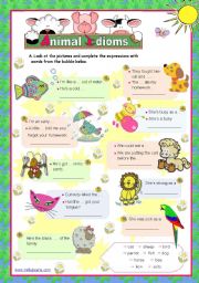 Animal idioms used everyday (2) - for elementary/ lower ...