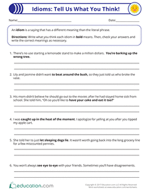 idiom worksheet say what