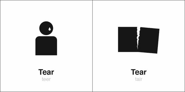 illustrations of homophones
