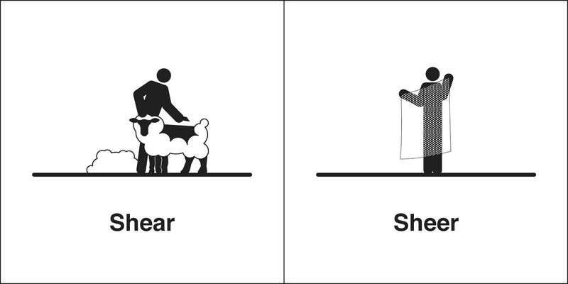 illustrations of homophones