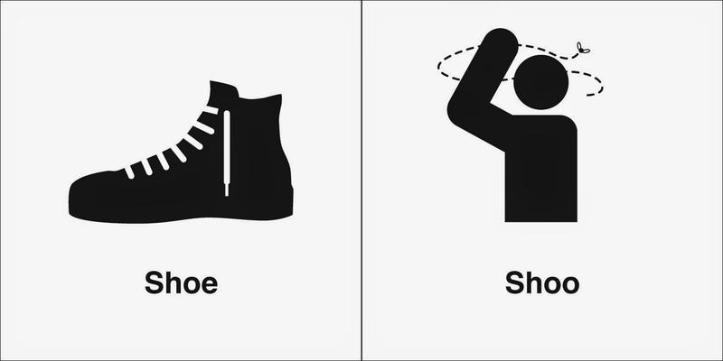 illustrations of homophones