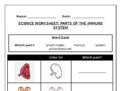 immune system worksheet middle school