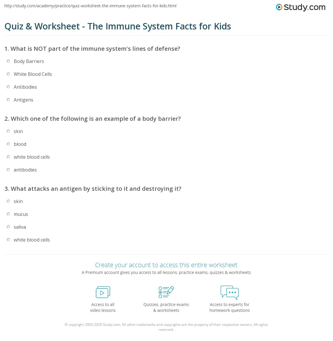 immune system worksheet middle school