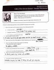 Cells of the immune system student APBIO worksheet 1 .pdf ...