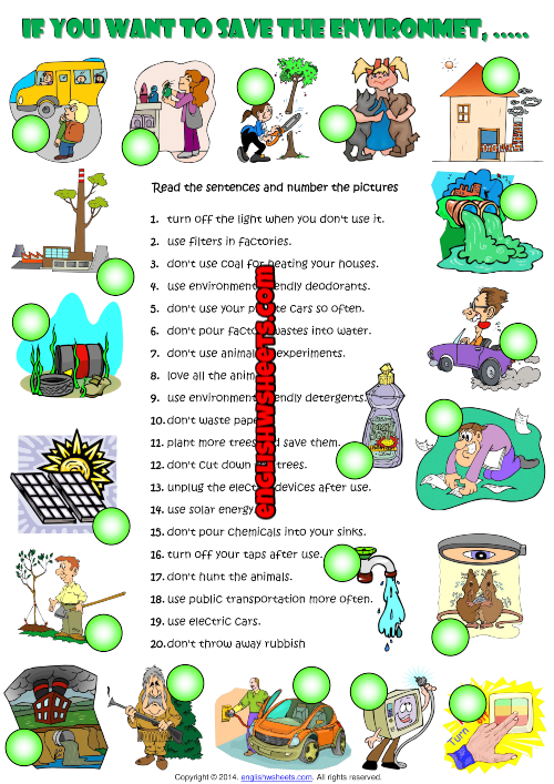 imperative worksheet