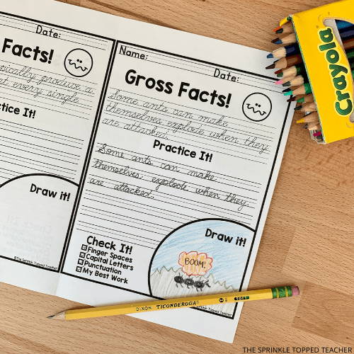 5 Activities to Improve Handwriting in the Classroom