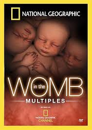 in the womb national geographic worksheet answers