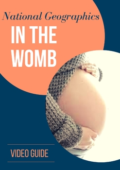 in the womb national geographic worksheet answers