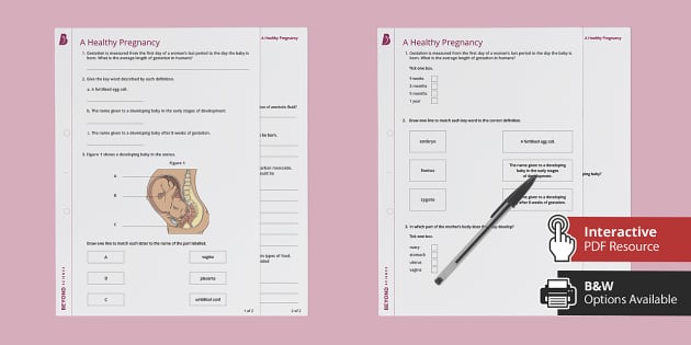 in the womb national geographic worksheet answers