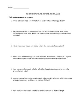 in the womb national geographic worksheet